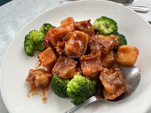 General Tsos tofu   at Zen Garden in Great Neck