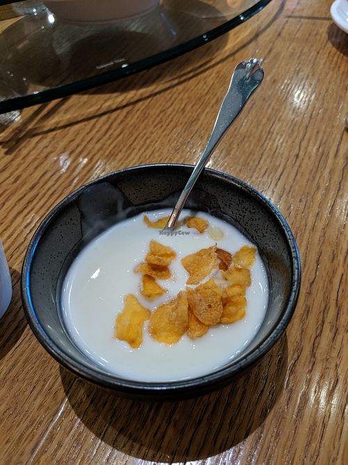 Yoghurt-based dessert at Ru Shi in Dongguan