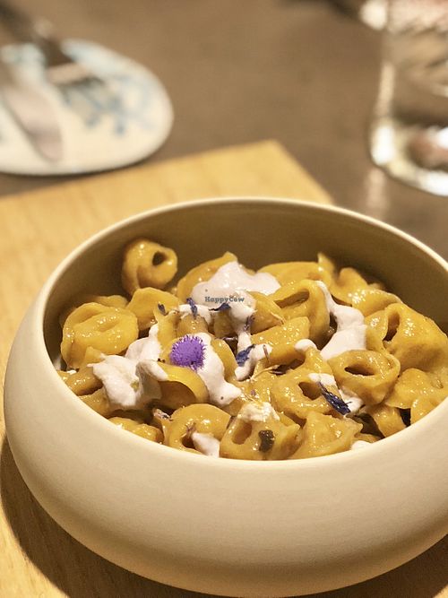 Plant-based tortellini!
So delicious 
 at Herbe in Reggio Emilia