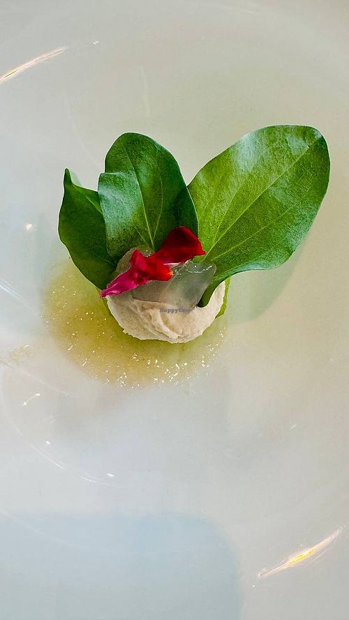  at Antonio Chiodi Latini in Turin