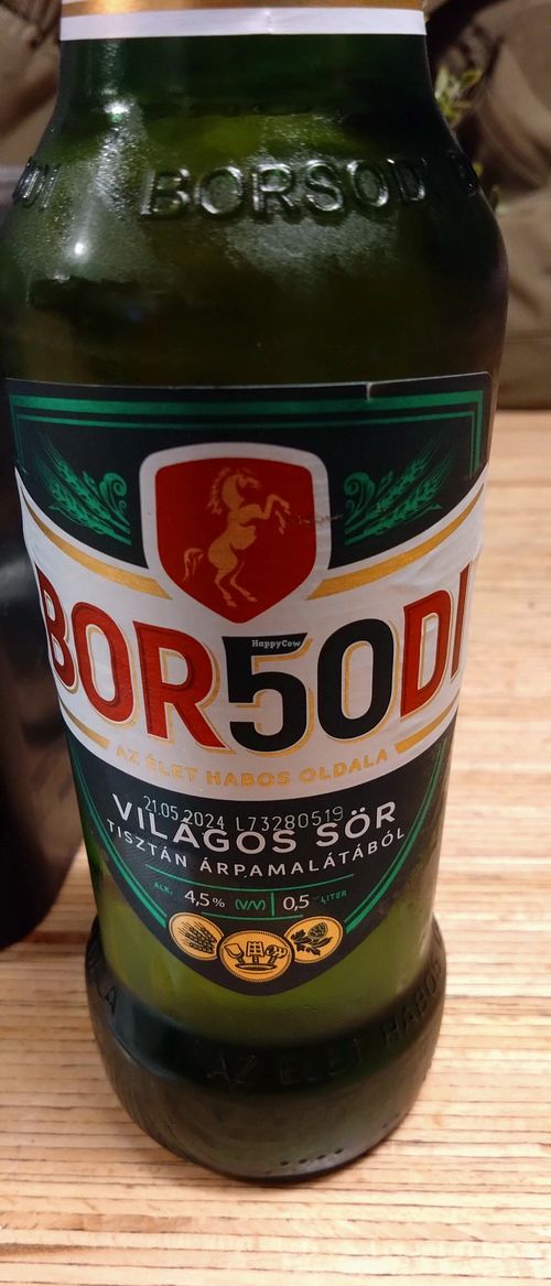 Bier at Las Vegan's Bar in Budapest