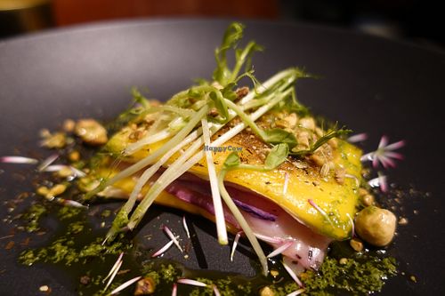 "Destructed lasagne" at Dumbo in Rotterdam