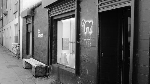 The Alleycat at The Alleycat in Inverness