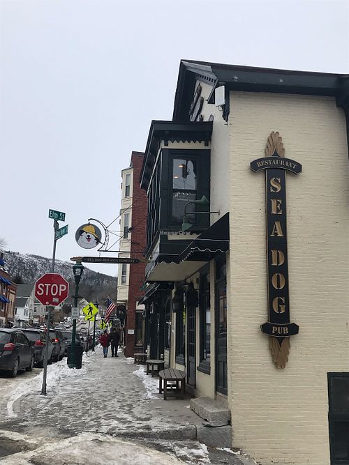 Street view at Sea Dog Brewing Co in Camden