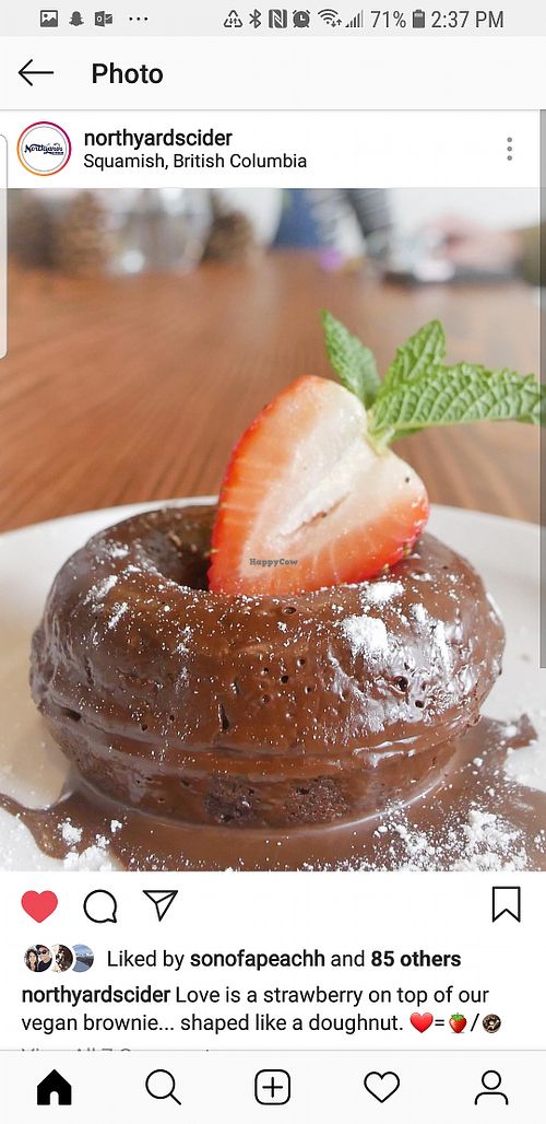 GF Vegan Chocolate Brownie  at Northyards Cider Co. in Squamish