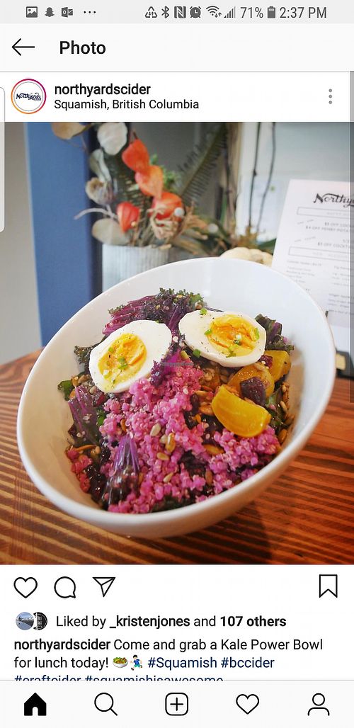 Kalr power bowl with beet quinoa, roast beets, spiced pepitas, hemp seeds, sunflower seeds, craisins, squash at Northyards Cider Co. in Squamish
