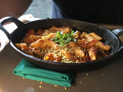 Baked Truffle Penne  at Proper & Wild in Winter Park
