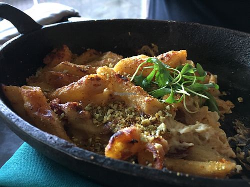 Baked Truffle Penne  at Proper & Wild in Winter Park