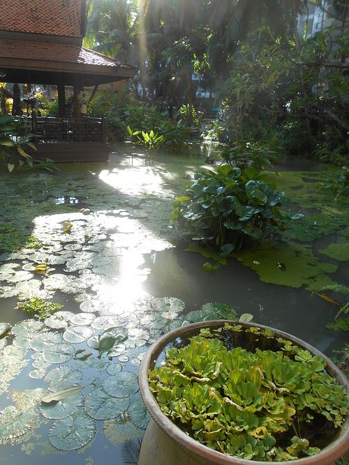 Beach Road entrance.  at Garden Cafe in Pattaya