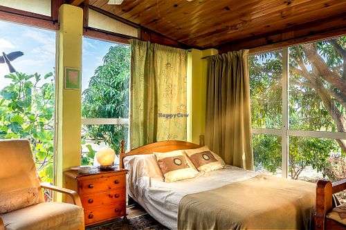 studio house for up to 3 persons under big Mango trees in the upper part of the finca at Finca Manantial de Luz in Almayate Alto