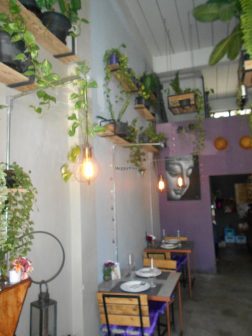 Interior at MAYs in Pattaya