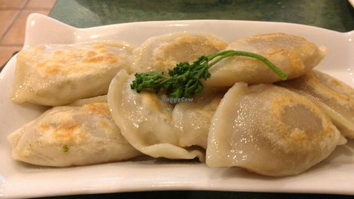 Veggie Dumplings  at Spicy Vegetarian Cuisine in Richmond