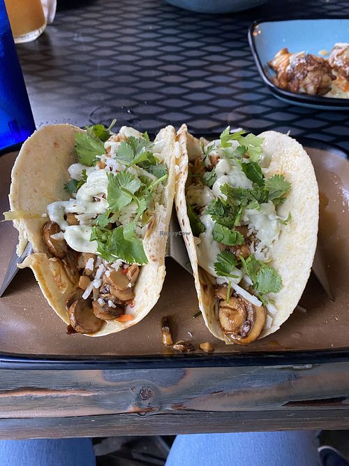 Mushroom tacos  at 4th Street Fillin Station in Cocoa Beach