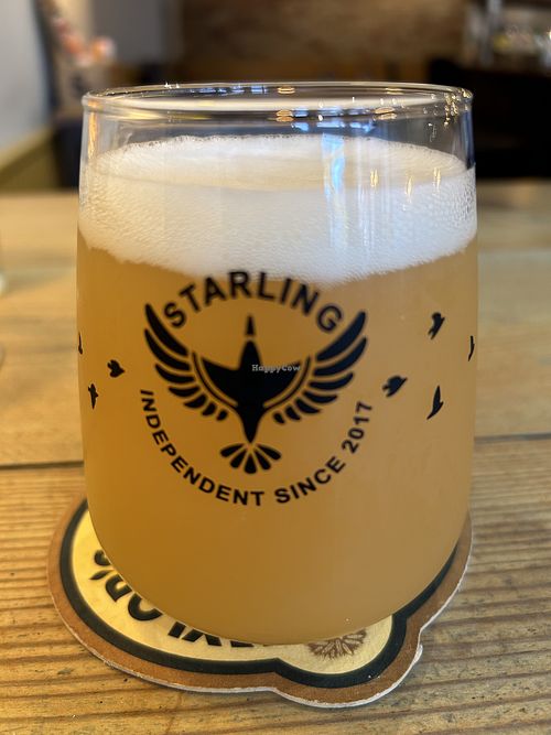 IPA   at Starling in Harrogate