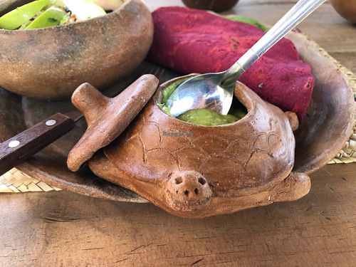 This tortuga come bearing guacamole. at CocoFam in Puerto Escondido