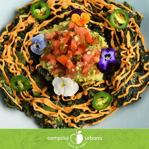 Kale chips, with guacamole and cashew dressing. at Campiña Urbana in Tijuana