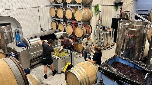  at Blackbook Winery in South West London