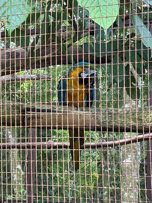   at Alturas Wildlife Sanctuary in Dominical