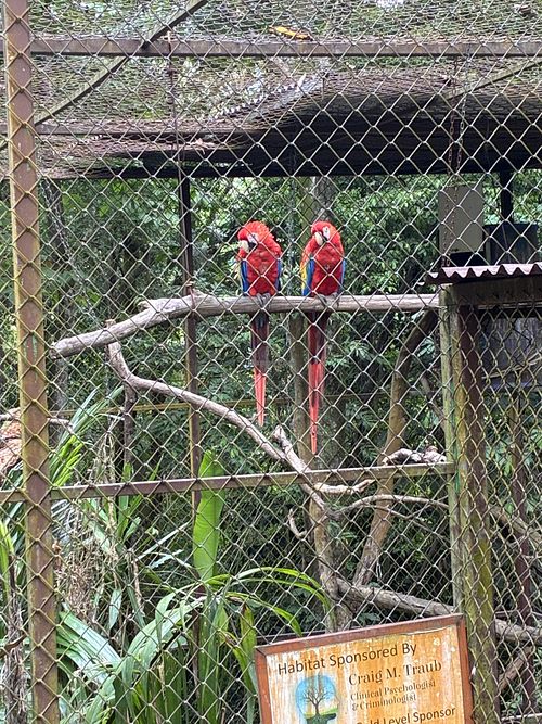   at Alturas Wildlife Sanctuary in Dominical