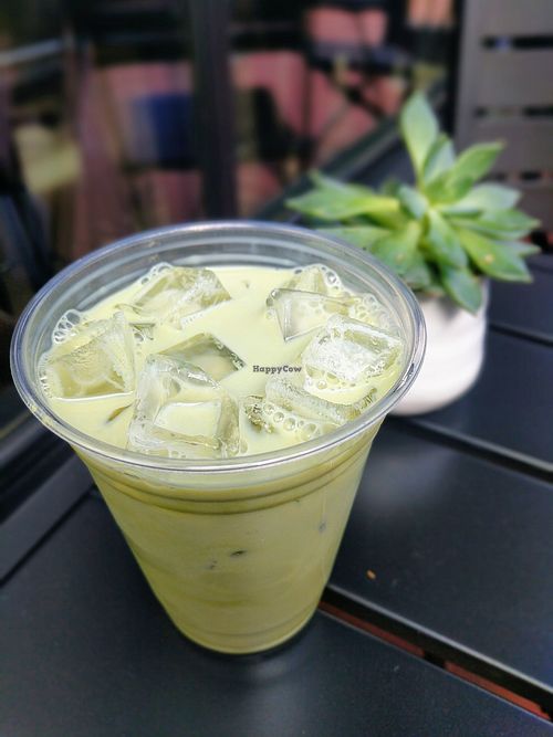 Matcha with oat milk at WithCo Coffee in San Luis Obispo