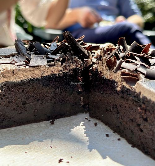   at Magpies  in Bruges