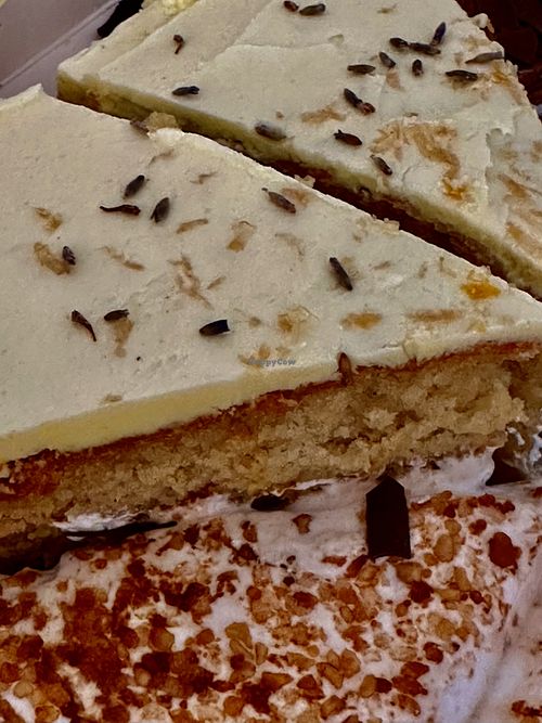   at Magpies  in Bruges