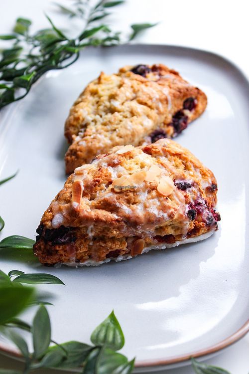 Scones at Catberry in Ghent