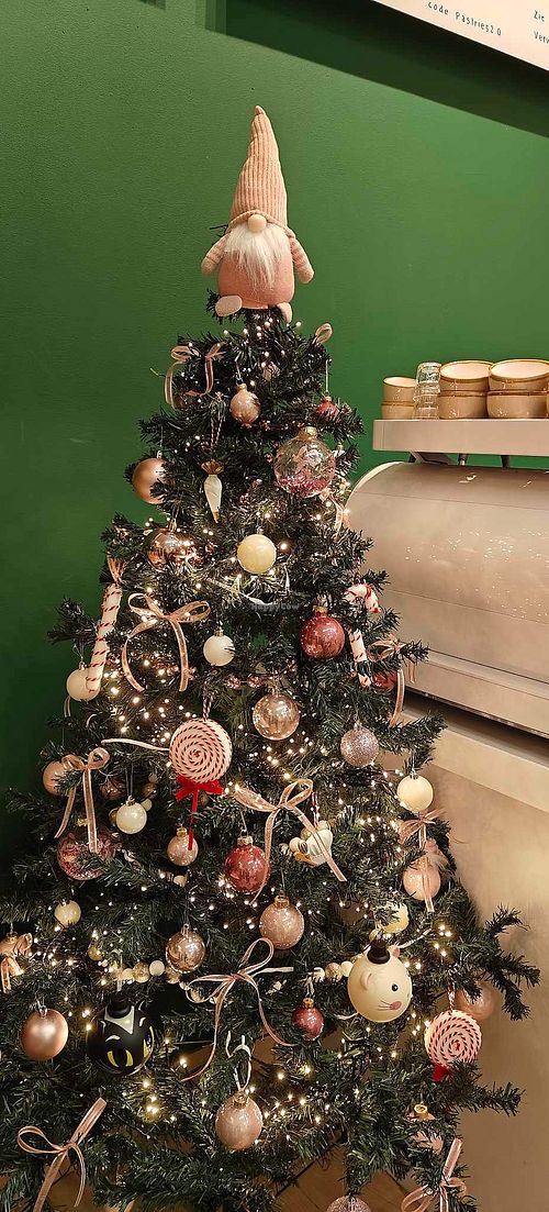 Christmas vibes at Catberry in Ghent