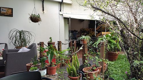 Interior 5 at Lavka in Guatemala City