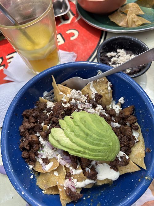   at Gracias Madre in Mexico City