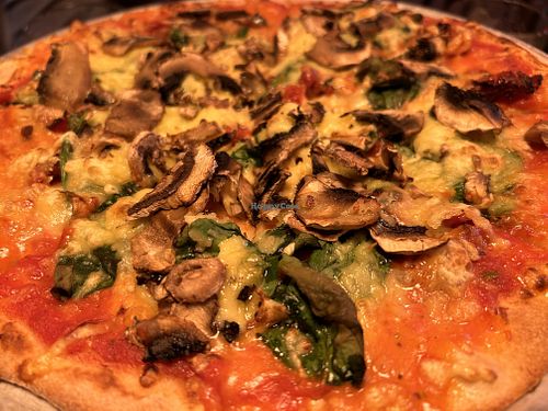 VG Pizza  at Fat Badgers Pizza Bar in Queenstown