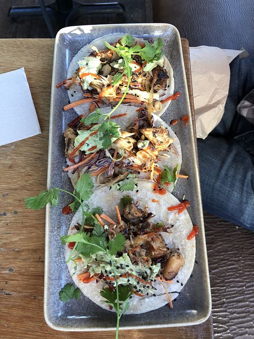 Jackfruit tacos at Halo in Queenstown