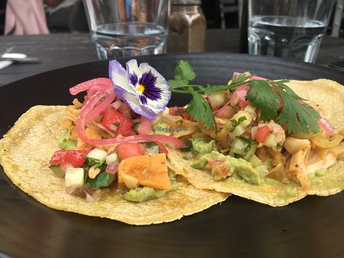 Entree: Jackfruit Tacos - Vegan Tuesday at Halo in Queenstown
