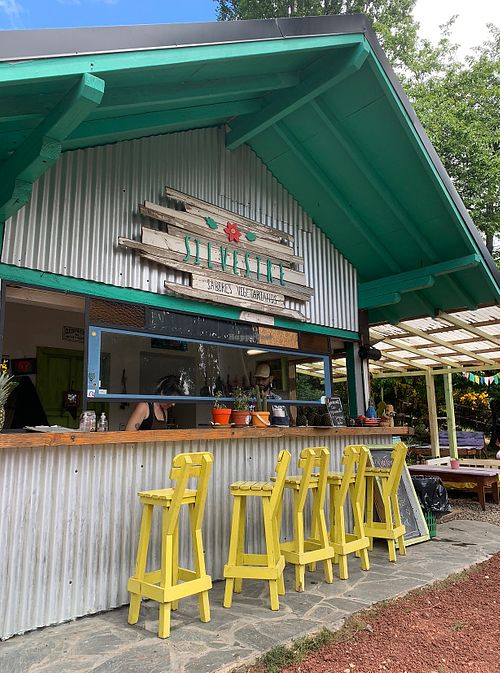 Beautiful outside area in Colonia Suiza 🇨🇭  at Silvestre in Colonia Suiza