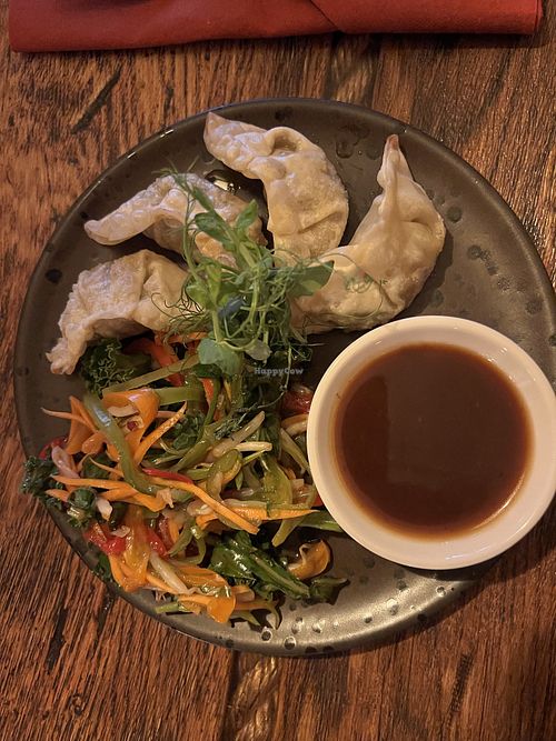 Gyoza 🥟    at Green Loft in Northampton