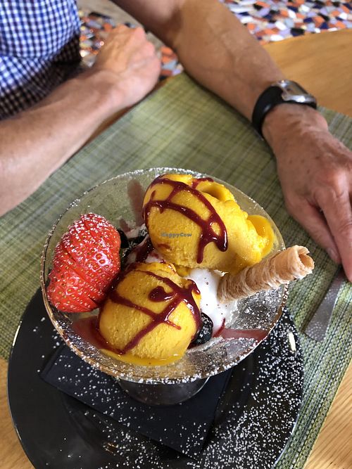 Sorbet  at Green Loft in Northampton