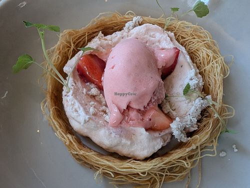 Strawberry nest at Het Lokaal in Amersfoort