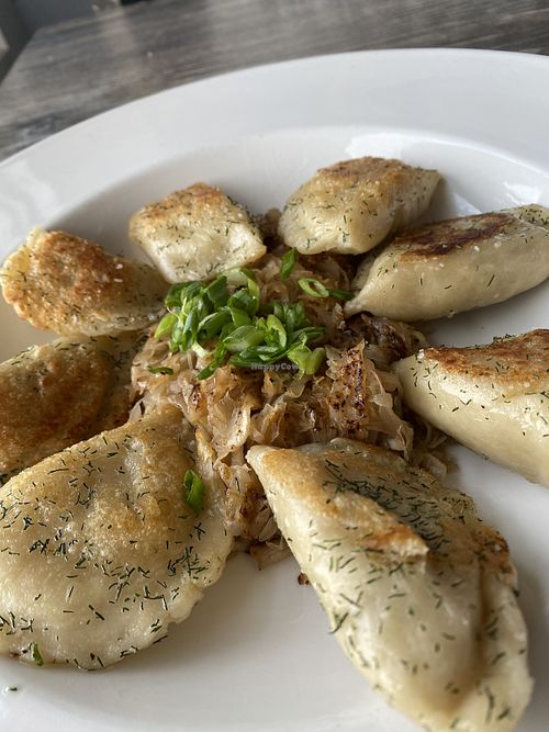 Perogies  at Collision Brewing Company and Restaurant in Longmont