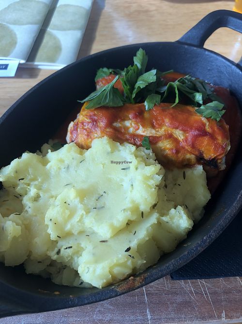 cabbage rolls with mashed potatoes  at Veganika in Ljubljana