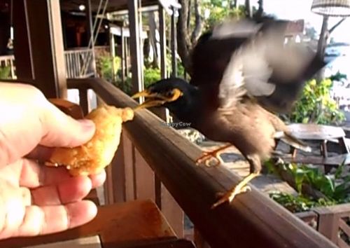 Snack time at Cabbages & Condoms in Pattaya