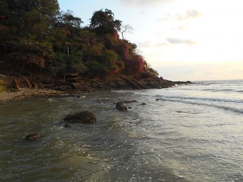 Beach below the restaurant - bring your bathing suit at Cabbages & Condoms in Pattaya