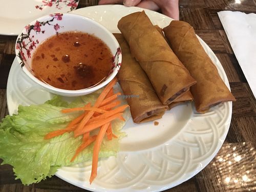 Spring rolls  at DaNang Veget in Duluth