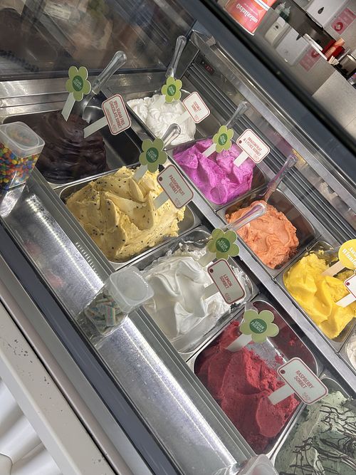 Current vegan options.   at Gelatissimo in Mooloolaba