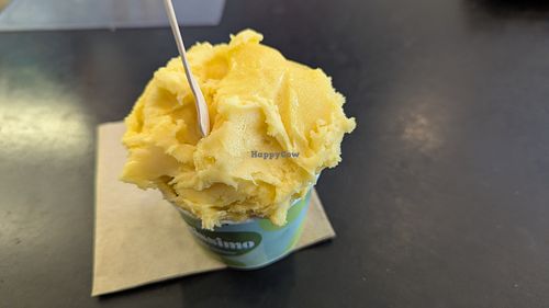 Medium cup with dark chocolate underneath mango at Gelatissimo in Adelaide