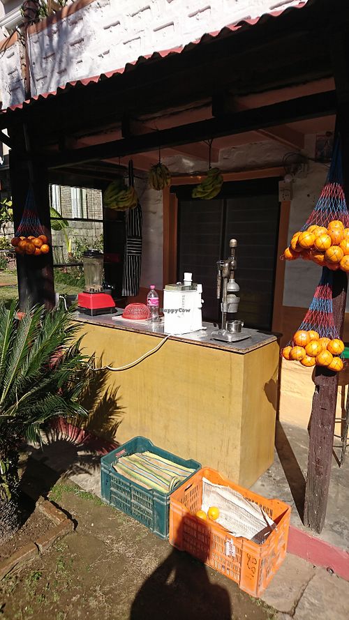 Juice at Wendy Juice Shop in Pokhara