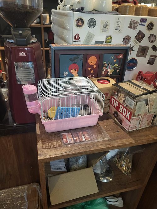   at Hanoi Coffee Station in Hanoi