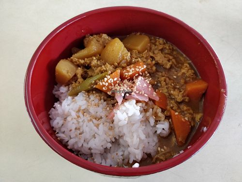 Vegetarian mince meat and vegetarian curry rice at Vegiiland in Central Singapore