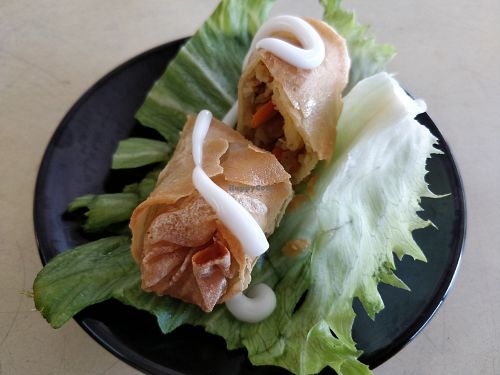Spring roll at Vegiiland in Central Singapore