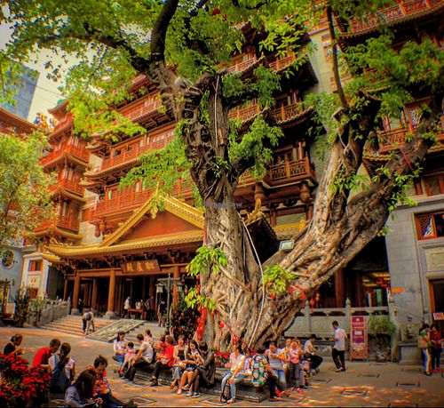1. the entrance is the grey door on the right at DaFo Vegetarian in Guangzhou