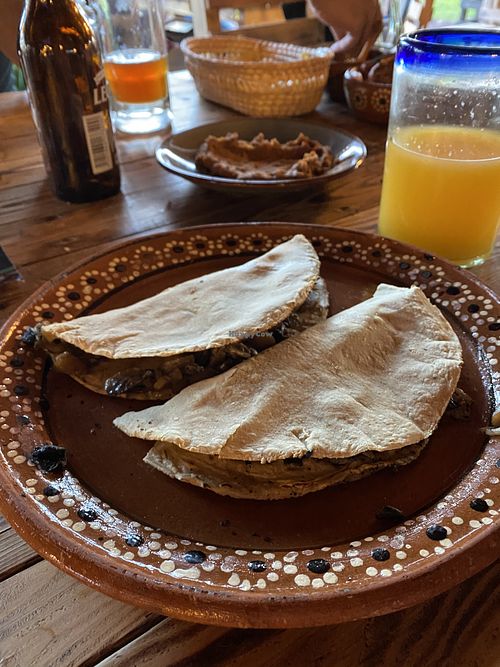 Mushroom quesadillas  at Conejo en la Luna in San Juan Teotihuacan